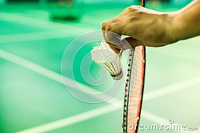 Closeup Badminton player hand holding the shuttle together with the racket, ready to serve position on the play green court w Stock Photo