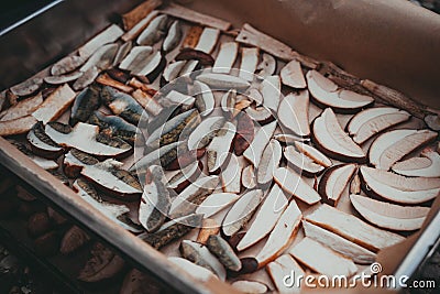 Closeup of a baking tray full of sliced mushrooms ready for drying. Stock Photo