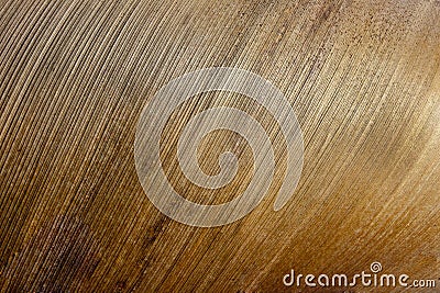 Closeup Base of Palm Leaf Showing Linear pattern Stock Photo