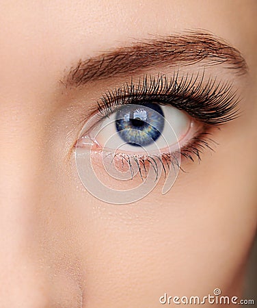 Closeup beautiful blue woman eye Stock Photo