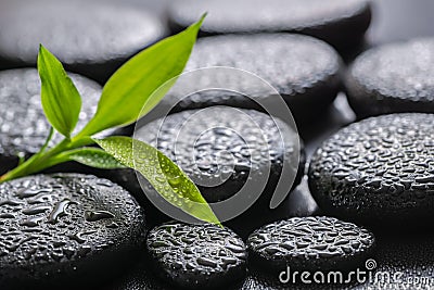 Closeup beautiful spa background of green branch bamboo on zen b Stock Photo