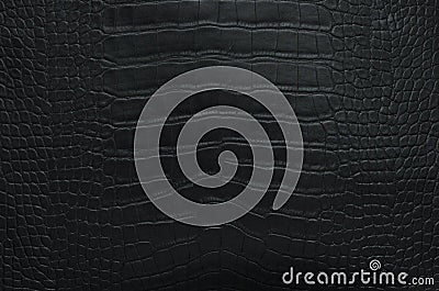 Luxury black crocodile leather texture Stock Photo