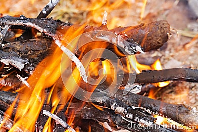 Closeup of blazing campfire, Campfire burning logs in large orange and yellow flames in close up of the wood aflame. Close up of a Stock Photo