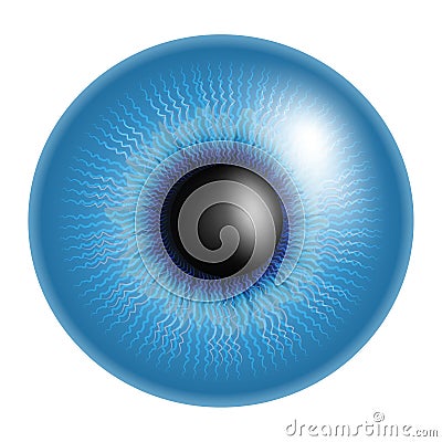 Closeup blue eye ball Vector Illustration