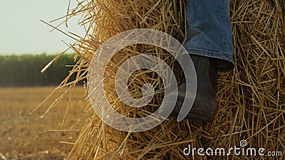 Closeup boot hay stack at wheat stubble field. Farmer resting at straw bale Stock Photo