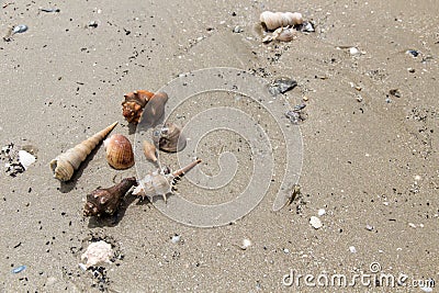 Closeup bottle plastic garbage on the beach,Trash on sand beach Stock Photo