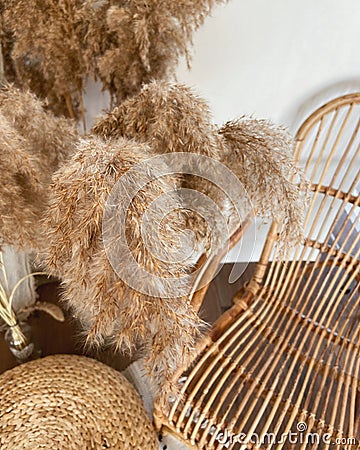 Closeup of a bouquet of decorative brown dry pampas grass in the vase on the table Stock Photo