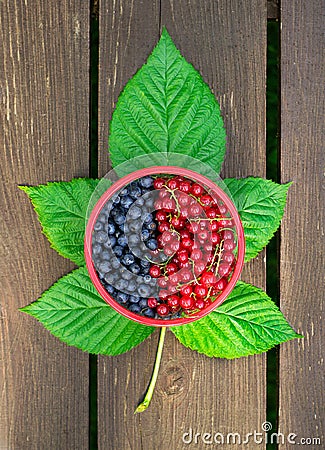 Closeup bowl of blueberries and red currant with green leafs on wooden table background Stock Photo