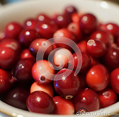 Closeup of a bowl of cranberries Stock Photo