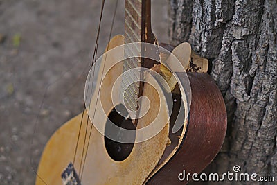 Closeup of a broken acoustic guitar leaning on a tree Stock Photo