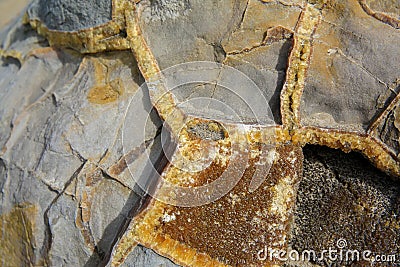 Closeup of broken Moeraki Boulder, New Zealand Stock Photo