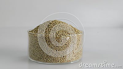 Closeup of browntop millet grains in a glass bowl Stock Photo