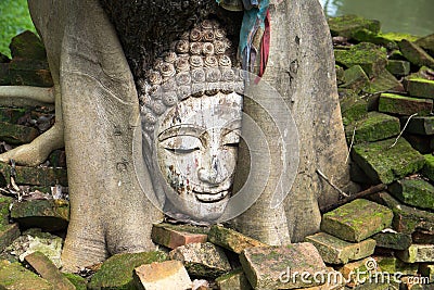 Closeup of Buddha head at bodhi tree in the temple Stock Photo