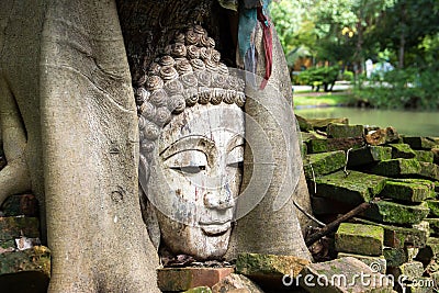 Closeup of Buddha head at bodhi tree in the temple Stock Photo