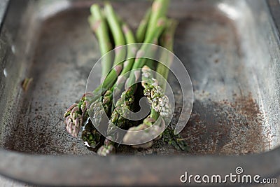 Closeup of a Bunch of Asparagus in a Baking Tray Stock Photo