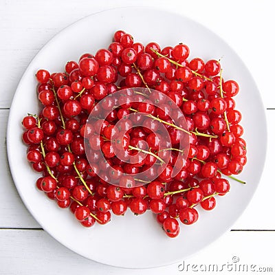 Closeup of a bunch of delicate and fresh redcurrants Stock Photo