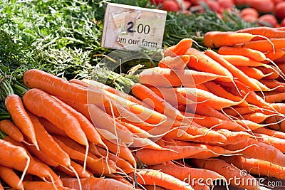Closeup of carrot bunches from Stock Photo