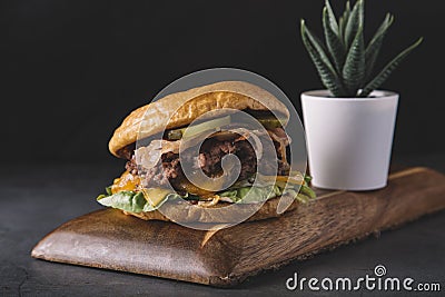 Closeup of cheeseburger onion and lettuce Stock Photo