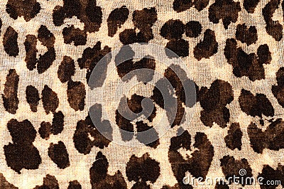 Closeup of Cheetah Print Stock Photo