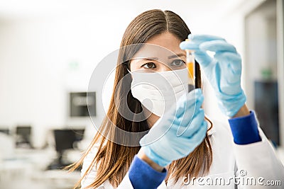 Closeup of chemist looking at a test tube Stock Photo