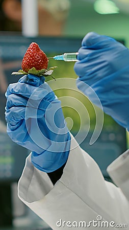 Closeup chemist scientist injecting nature strawberry with chemical pesticides Stock Photo