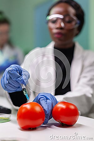 Closeup of chemist scientist injecting organic tomato with pesticides Stock Photo