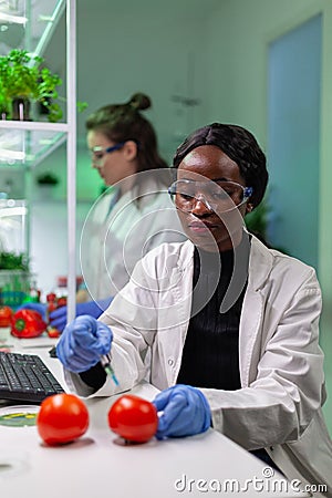 Closeup of chemist scientist injecting organic tomato with pesticides Stock Photo