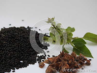 Closeup of Chia, Salvia hispanica Pile of seeds with flowers on white background Stock Photo