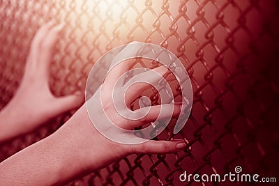 Closeup child girl hand holding steel cage fence Stock Photo