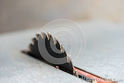 Closeup circular saw, table saw crosscut blade. Saw blade Stock Photo