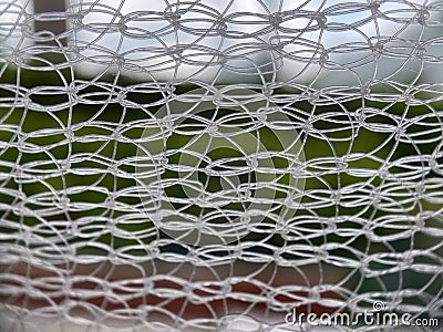 Clear Plastic Meshing Stock Photo