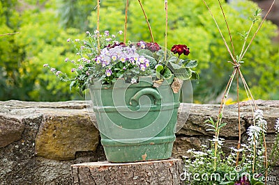 colorful flowers in ceramic pot on stoned wal in the Stock Photo