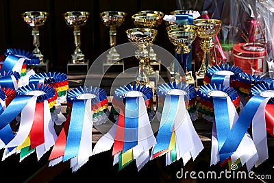 Closeup of colorful ribbons awards rosettes and trophys for winners In equitation competition Stock Photo