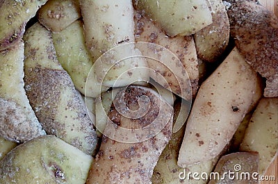 Closeup photograph of potato peelings Stock Photo