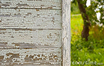 Closeup country house in summer apple orchard garden Stock Photo