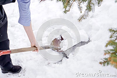 Closeup hand hold and using shovel scoop and cleared heap snow on floor Stock Photo