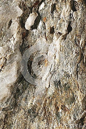 Closeup of a deeply fissured stone Stock Photo