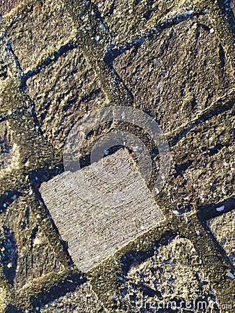 Closeup Detail of Authentic Italian Sampietrini Pavement Stock Photo