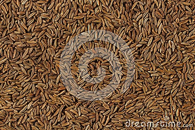 Closeup detail of caraway seeds meridian fennel - Carum carvi Stock Photo