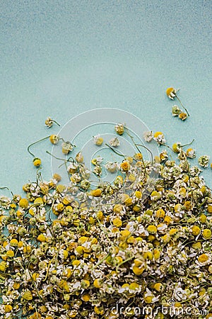 Closeup dried camomile flowers Stock Photo