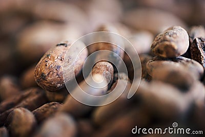 Closeup of dried cocoa beans being prepared for chocolate making Stock Photo