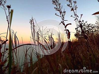 Closeup of dried prairie grass and flowers on side of hill overlooking Lake Michigan at sunset Stock Photo