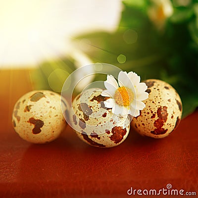 Closeup of Easter bird eggs Stock Photo