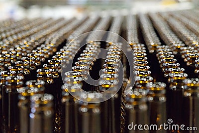 Empty brown beer bottles on bottling line at brewery. Stock Photo