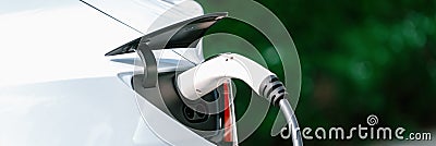 Closeup EV charger plug handle attached to electric vehicle port. Synchronos Stock Photo