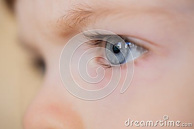 Closeup of eyes of a blue-eyed child with long eyelashes Stock Photo