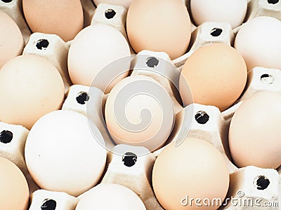 Closeup on farmed brown and white eggs Stock Photo