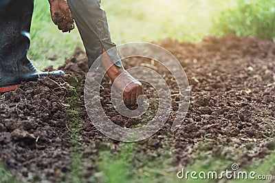 closeup farmer hand planting onion in garden Stock Photo
