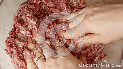 Closeup of female hand beating and mixing minced meat with spices. Cooking at home, kitchen appliance, healthy nutrition, Stock Photo