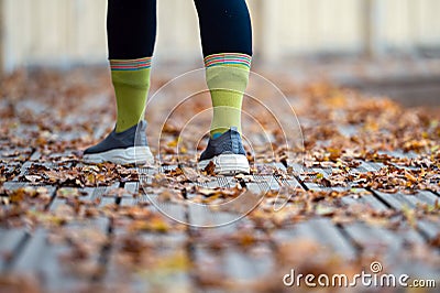Close-up of a female legs on wooden walking trails covered with autumn leaves Stock Photo